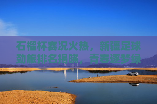 石榴杯赛况火热,新疆足球劲旅排名揭晓,青春逐梦绿茵场,石榴杯赛况火热,新疆足球劲旅排名揭晓 青春逐梦绿茵场