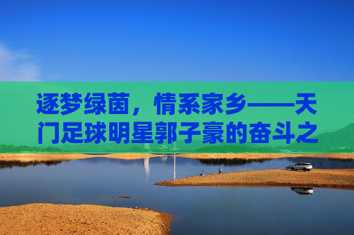 逐梦绿茵，情系家乡——天门足球明星郭子豪的奋斗之路，郭子豪，逐梦绿茵，情系天门