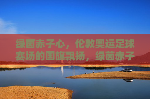 绿茵赤子心,伦敦奥运足球赛场的国旗飘扬,绿茵赤子心,伦敦奥运赛场国旗飘扬