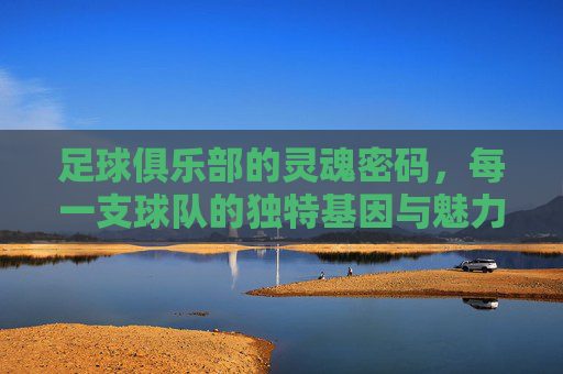 足球俱乐部的灵魂密码,每一支球队的独特基因与魅力,足球俱乐部的灵魂密码,独特基因与魅力