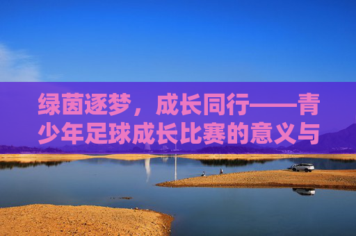 绿茵逐梦，成长同行——青少年足球成长比赛的意义与启示，绿茵逐梦，成长同行——青少年足球成长比赛的意义与启示
