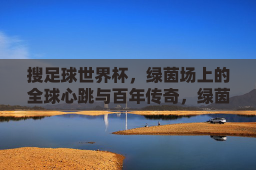 搜足球世界杯，绿茵场上的全球心跳与百年传奇，绿茵心跳，百年传奇，足球世界杯的全球脉动
