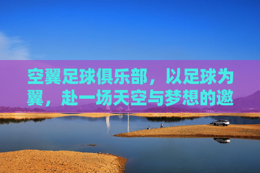 空翼足球俱乐部,以足球为翼,赴一场天空与梦想的邀约,空翼,足球为翼,赴天空梦想之约