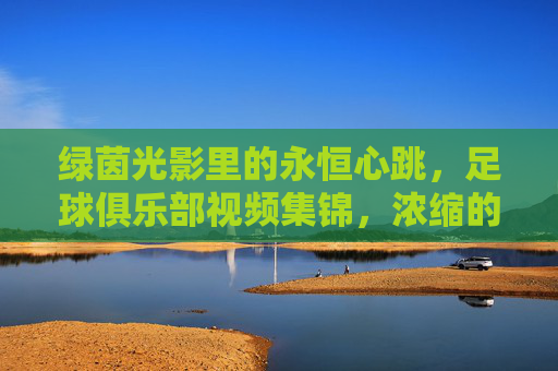 绿茵光影里的永恒心跳,足球俱乐部视频集锦,浓缩的热爱与史诗,绿茵光影里的永恒心跳,浓缩足球史诗