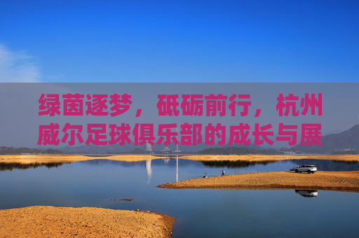 绿茵逐梦，砥砺前行，杭州威尔足球俱乐部的成长与展望，杭州威尔足球俱乐部，逐梦绿茵砥砺前行