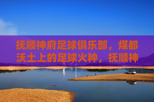 抚顺神府足球俱乐部，煤都沃土上的足球火种，抚顺神府，煤都沃土上的足球火种
