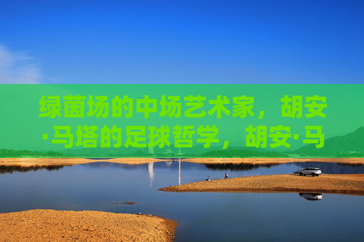 绿茵场的中场艺术家,胡安·马塔的足球哲学,胡安·马塔,中场艺术家的足球哲学