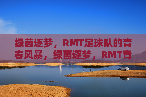 绿茵逐梦,RMT足球队的青春风暴,绿茵逐梦,RMT青春风暴