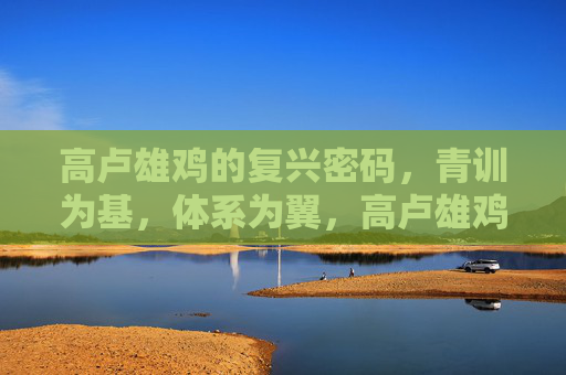 高卢雄鸡的复兴密码，青训为基，体系为翼，高卢雄鸡复兴密码，青训为基，体系为翼