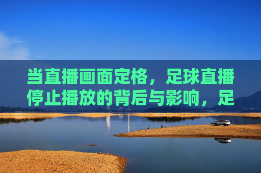 当直播画面定格,足球直播停止播放的背后与影响,足球直播定格,停止播放背后的影响
