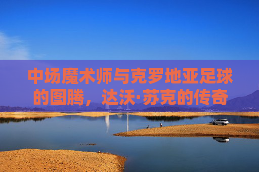 中场魔术师与克罗地亚足球的图腾,达沃·苏克的传奇,中场魔术师与克罗地亚图腾,达沃·苏克的传奇