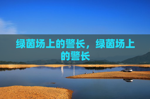 绿茵场上的警长,绿茵场上的警长
