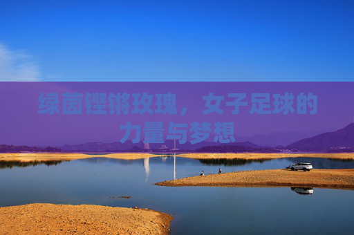 绿茵铿锵玫瑰,女子足球的力量与梦想