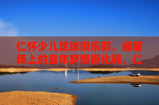 仁怀少儿足球俱乐部,绿茵场上的童年梦想孵化器,仁怀少儿足球,绿茵场上的童年梦想孵化器