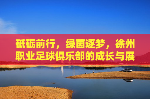 砥砺前行，绿茵逐梦，徐州职业足球俱乐部的成长与展望，砥砺前行绿茵逐梦，徐州职业足球俱乐部的成长展望