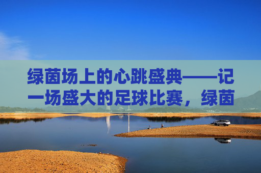 绿茵场上的心跳盛典——记一场盛大的足球比赛,绿茵心跳盛典,足球盛宴