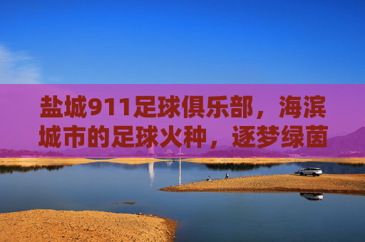 盐城911足球俱乐部,海滨城市的足球火种,逐梦绿茵的青春之歌,盐城911,海滨火种,逐梦青春绿茵之歌
