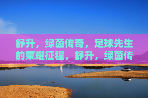 舒升，绿茵传奇，足球先生的荣耀征程，舒升，绿茵传奇与足球先生的荣耀征程