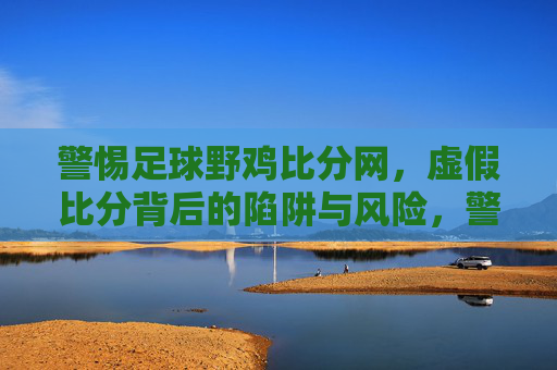 警惕足球野鸡比分网,虚假比分背后的陷阱与风险,警惕足球野鸡比分网,虚假比分陷阱与风险