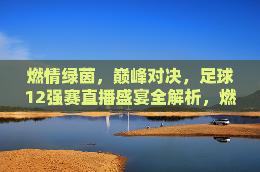 燃情绿茵,巅峰对决,足球12强赛直播盛宴全解析,燃情巅峰对决,12强赛直播盛宴全解析