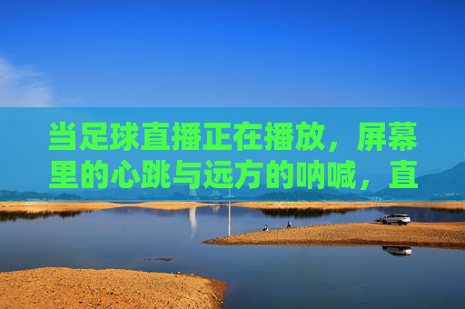 当足球直播正在播放,屏幕里的心跳与远方的呐喊,直播心跳,远方呐喊