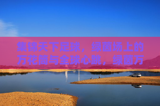 集锦天下足球,绿茵场上的万花筒与全球心跳,绿茵万花筒,足球的全球心跳