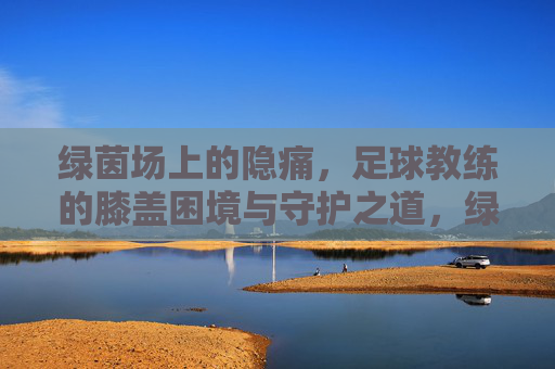 绿茵场上的隐痛,足球教练的膝盖困境与守护之道,绿茵场上的隐痛,足球教练膝盖困境与守护