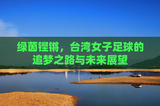 绿茵铿锵,台湾女子足球的追梦之路与未来展望