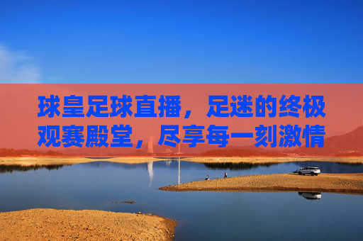 球皇足球直播,足迷的终极观赛殿堂,尽享每一刻激情瞬间,球皇足球直播,足迷的终极激情观赛殿堂