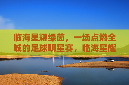 临海星耀绿茵,一场点燃全城的足球明星赛,临海星耀绿茵,点燃全城的足球明星赛