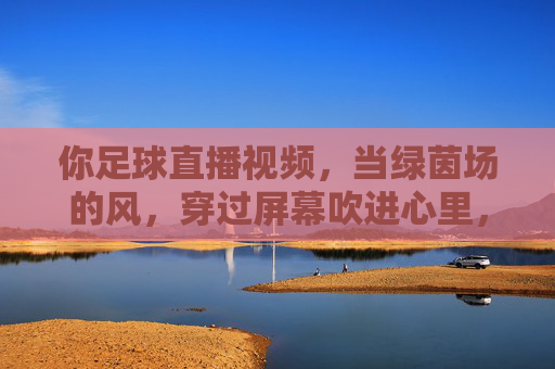 你足球直播视频,当绿茵场的风,穿过屏幕吹进心里,绿茵风穿屏入心,足球直播