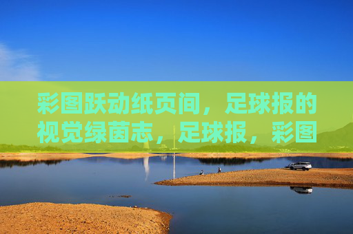彩图跃动纸页间,足球报的视觉绿茵志,足球报,彩图跃动的视觉绿茵志