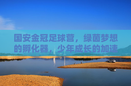 国安金冠足球营,绿茵梦想的孵化器,少年成长的加速器