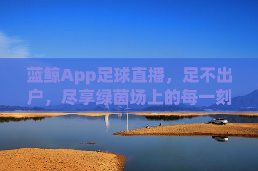 蓝鲸App足球直播，足不出户，尽享绿茵场上的每一刻热血，蓝鲸App足球直播，足不出户，尽享绿茵热血时刻