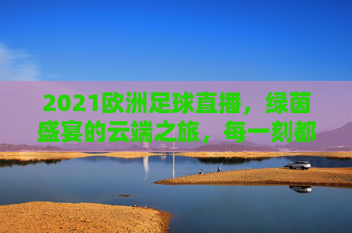 2021欧洲足球直播，绿茵盛宴的云端之旅，每一刻都值得铭记，2021欧洲足球直播，云端绿茵盛宴，每一刻值得铭记