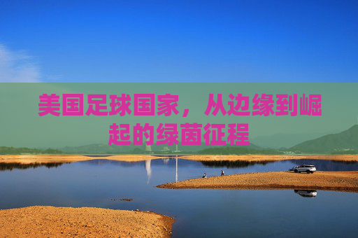 美国足球国家,从边缘到崛起的绿茵征程