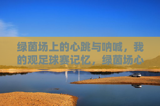 绿茵场上的心跳与呐喊，我的观足球赛记忆，绿茵场心跳与呐喊，我的观赛记忆