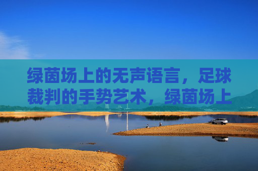 绿茵场上的无声语言,足球裁判的手势艺术,绿茵场上的手势艺术,足球裁判的无声语言