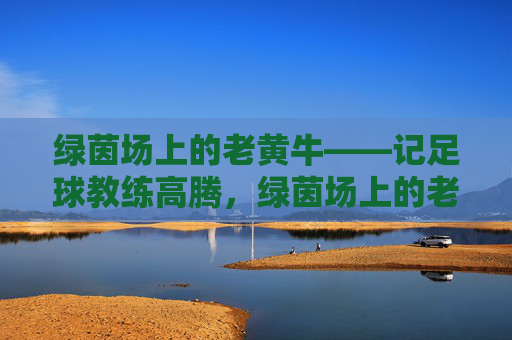 绿茵场上的老黄牛——记足球教练高腾，绿茵场上的老黄牛——足球教练高腾