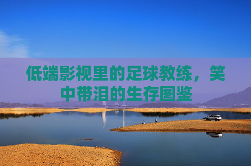 低端影视里的足球教练,笑中带泪的生存图鉴