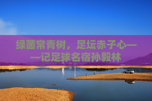 绿茵常青树,足坛赤子心——记足球名宿孙毅林
