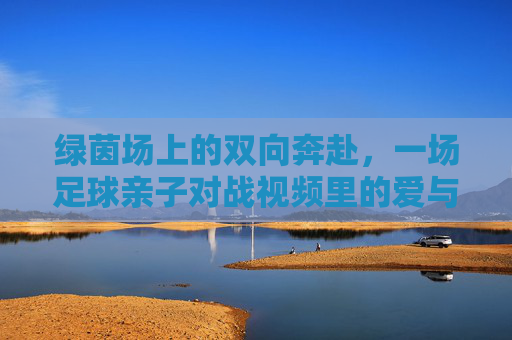 绿茵场上的双向奔赴,一场足球亲子对战视频里的爱与成长,绿茵场上的双向奔赴,亲子足球战里的爱与成长