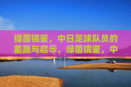 绿茵镜鉴，中日足球队员的差距与启示，绿茵镜鉴，中日球员差距与启示