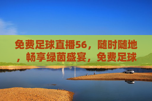 免费足球直播56，随时随地，畅享绿茵盛宴，免费足球直播，随时随地畅享绿茵盛宴