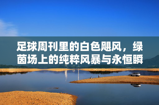 足球周刊里的白色飓风,绿茵场上的纯粹风暴与永恒瞬间,足球周刊的白色飓风,绿茵纯粹风暴与永恒瞬间