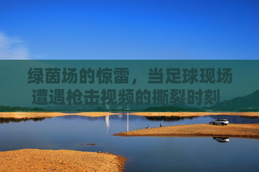 绿茵场的惊雷,当足球现场遭遇枪击视频的撕裂时刻,绿茵场惊雷!足球现场遭遇枪击视频撕裂时刻