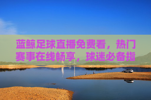 蓝鲸足球直播免费看，热门赛事在线畅享，球迷必备指南，蓝鲸足球直播免费畅享热门赛事，球迷必备指南