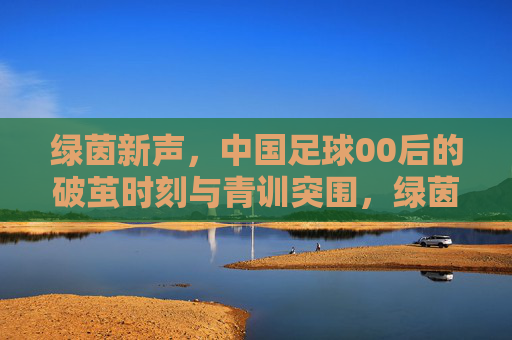 绿茵新声,中国足球00后的破茧时刻与青训突围,绿茵新声,00后破茧与中国青训突围