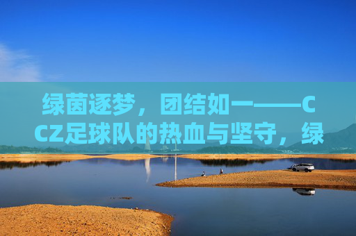 绿茵逐梦，团结如一——CCZ足球队的热血与坚守，绿茵逐梦，团结如一——CCZ足球队的热血与坚守