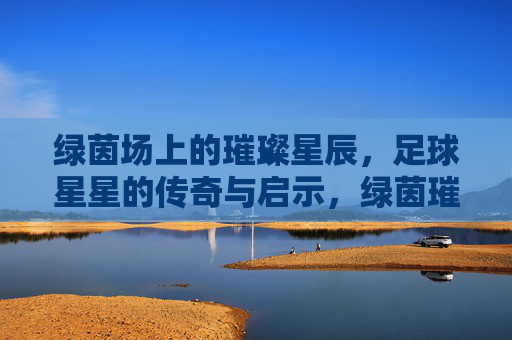绿茵场上的璀璨星辰，足球星星的传奇与启示，绿茵璀璨，足球星辰的传奇启示